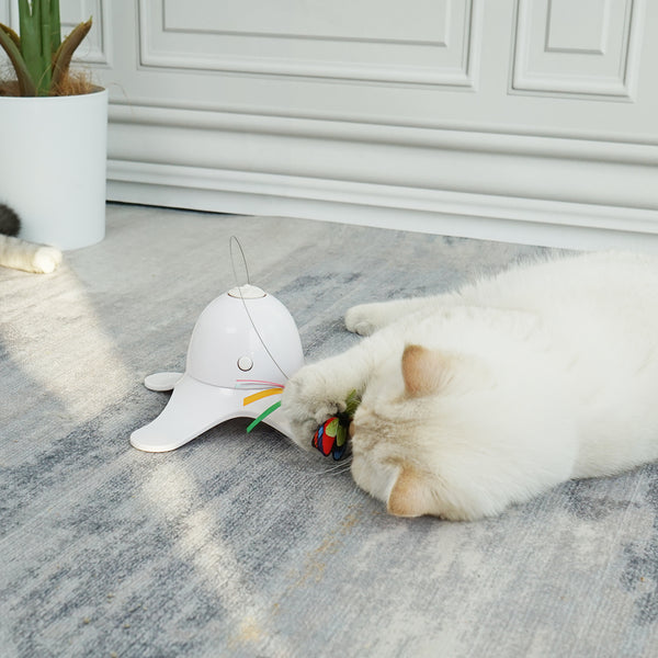 Petfamily_Flutter_Butterfly_Toy_Blog_1_1500*1500