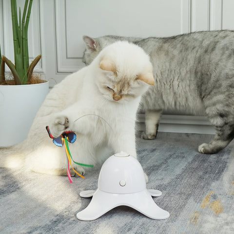 Petfamily_Flutter_Butterfly_Toy_Blog_3_1500*1500