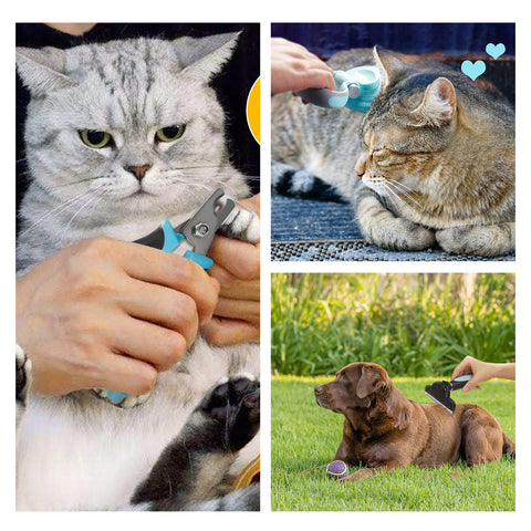 DELE-Grooming-3-in-1-Set-Blog-5-1500*1500