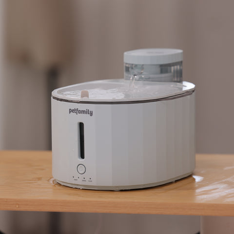 Petfamily-Fountain-Water-Blog-3-1500*1500