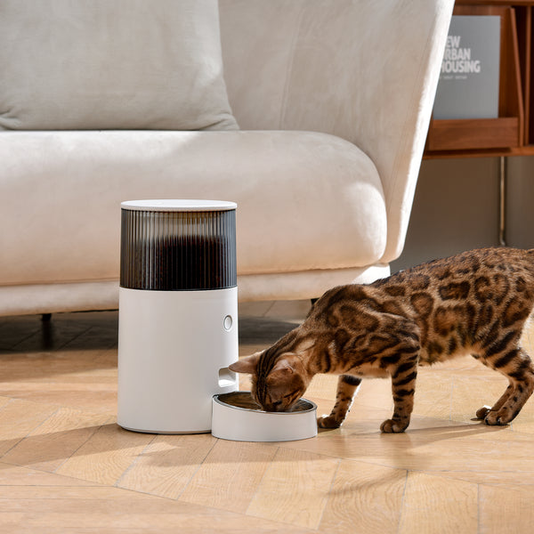 PetMarvel-Automatic-MINI-Feeder-Blog-2-2200*1500