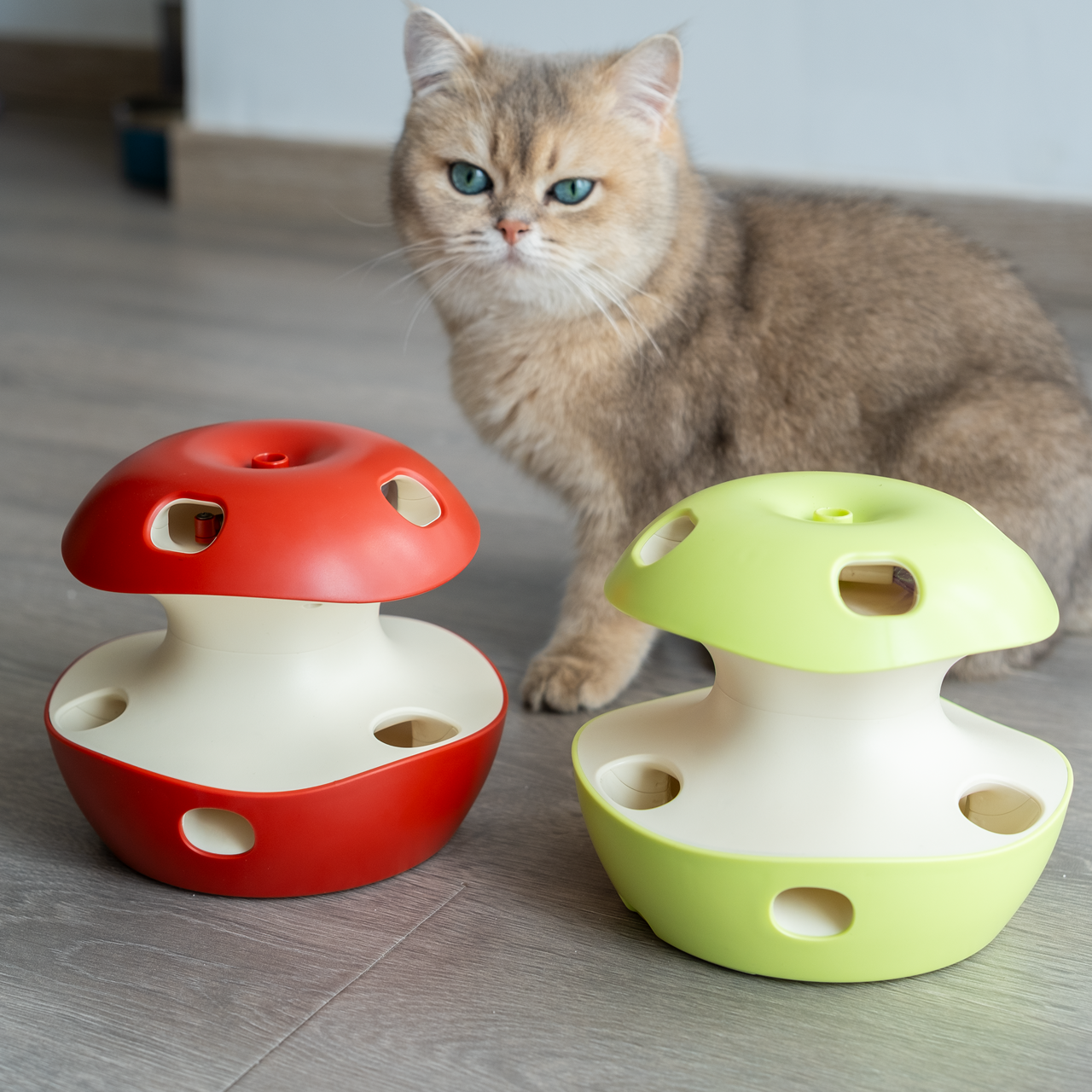 Interactive Apple Cat Toys
