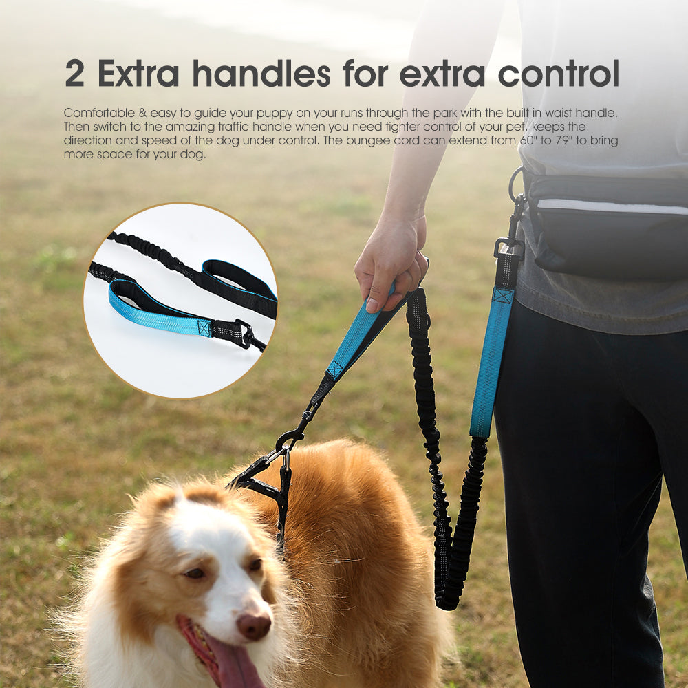 Outdoor Dog Running Set - EARTHY PAWZ