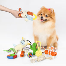 Chew & Chase Dog Toy Bundle