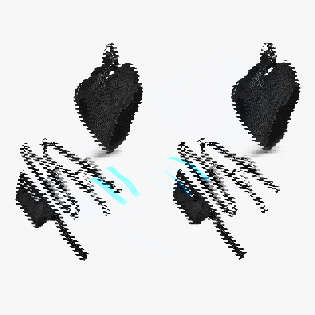 Outdoor Dog Running Set - EARTHY PAWZ